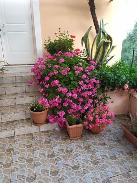 Asfendiles Garden Of Olive Trees 빌라 외부 사진